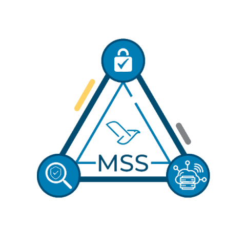 Serviço de segurança gerenciada MSS - Segurança cibernética, Segurança da Informação e Privacidade